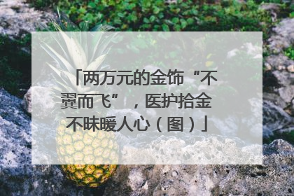 两万元的金饰“不翼而飞”，医护拾金不昧暖人心（图）